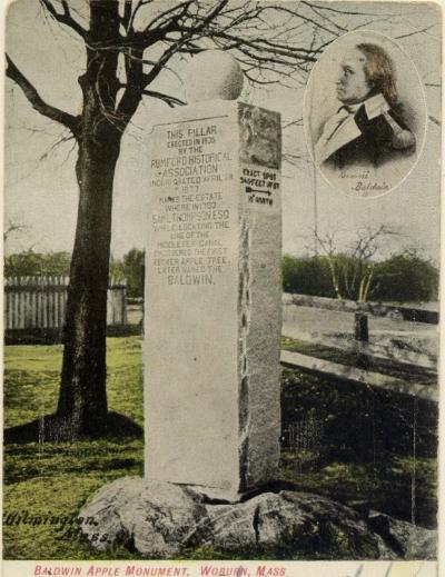 Baldwin Apple Monument