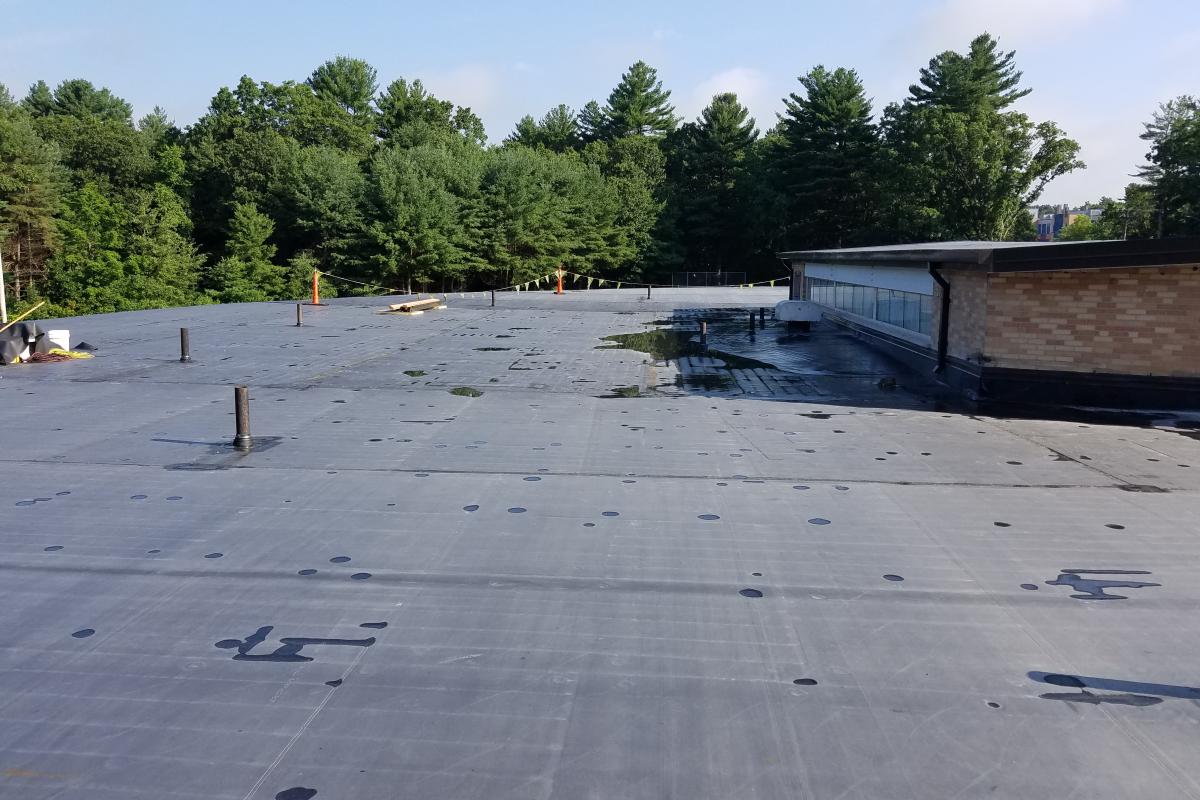 New Boutwell Streeet School Roof