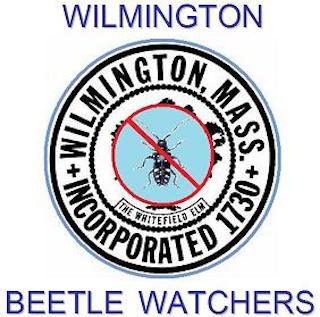 bettle watchers logo