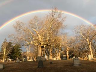 Spring Rainbow