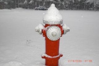 fire hydrant in snow