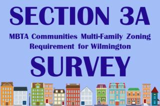 Section 3A Survey