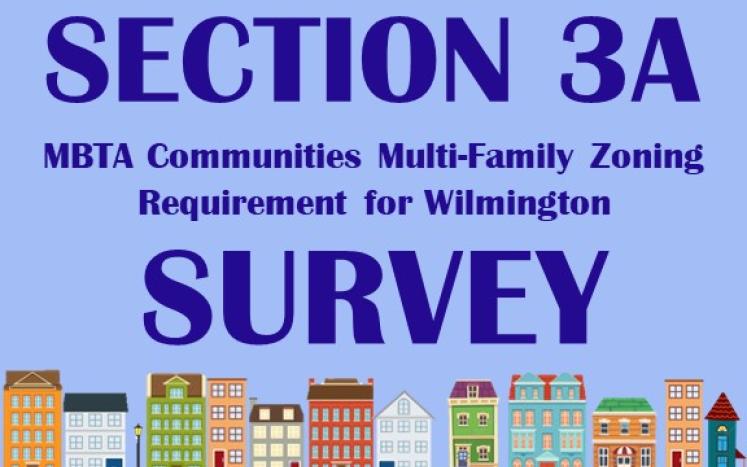 Section 3A Survey